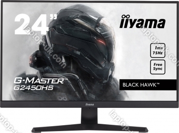 iiyama G-Master G2450HS-B1 Black Hawk, 23.8"